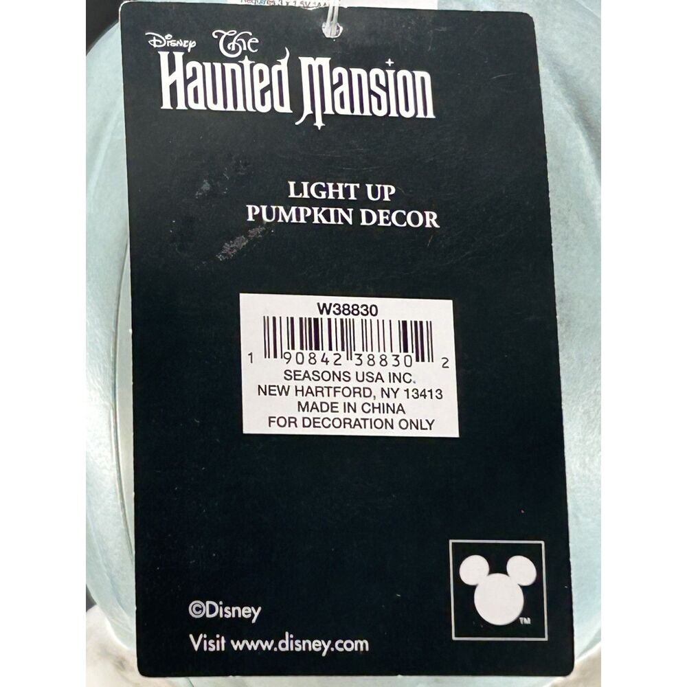 Disney's Haunted Mansion Jack-O-Lantern Hitchhiking Ghosts Lantern In/Outdoor - Picture 8 of 14